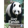 Pandas