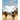 Angels and Mysteries and Incredible Happenings in the Wild Wild West