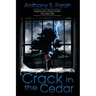 Crack in the Cedar