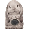 Furry Bunny