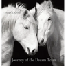 Journey of the Dream Team