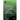 A Glimpse into Future Research on Microalgae Diversity, Ecology and Biotechnology