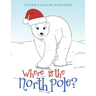 Where Is the North Pole?