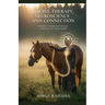 Equine Therapy Neuroscience Healing A