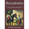 Bucephalus: The story of a war horse, his companion, and their first battle together.
