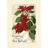 Vintage Lined Notebook Greetings from San Rafael, California