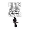 Birds in the Black Water: A Dark, Paranormal Drama