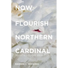 Now Flourish Northern Cardinal