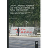 China's landless peasants and the role of state-led rural urbanization: Narratives, meaning making, and the puzzle of social stability
