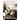 African American Religious History: Documentary Witness