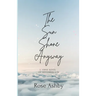 The Sun Shone Anyway: A Verse Novel of September 11th