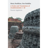 Many Buddhas, One Buddha: A Study and Translation of Avadānaśataka 1-40