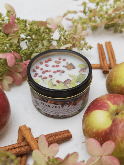 HARVEST Apple Spice Candle by Ash & Rose