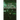 The Green Panthers