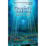 Droplet's Journey: Life in the Flow