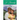 The Stolen Bride