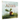 Because of an Acorn: (Nature Autumn Books for Children, Picture Books about Acorn Trees)