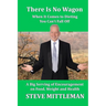 There Is No Wagon - When It Comes To Dieting You Can't Fall Off: A Big Serving Of Encouragement On Food, Weight & Health
