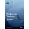 Wastewater Treatment: Current and Future Techniques