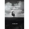 Schizophrenia Antidote: A Guide On Management Of Schizophrenia