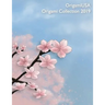 Origami Collection 2019