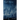 Night Chorus