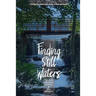 Finding Still Waters: The Art of Conscious Recovery