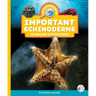 Important Echinoderms: Spineless Superheroes