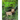 Kruger Safari: Greater Kruger's Private Game Reserves