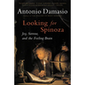 Looking for Spinoza: Joy, Sorrow, and the Feeling Brain