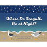 Where Do Seagulls Go at Night?
