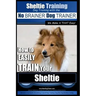 Sheltie Training Dog Training with the No BRAINER Dog TRAINER We Make it THAT Easy!: How to EASILY TRAIN Your Sheltie