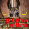 If I Was Your Llama: Llamas and Alpacas