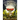The Hidden World of Gnomes