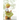 Little Girl