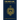 The Brigade: Book 2 of the Plebe Trilogy