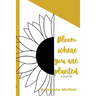 Bloom Where You Are Planted