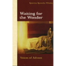 Waiting for the Wonder: Voices of Advent