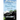 Summer of the Black Chevy