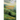 Eternal Breath