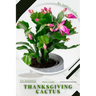 Thanksgiving cactus: Plant Guide