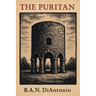 The Puritan: Curse of the Rune Stones