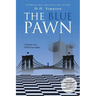 The Blue Pawn: A Memoir of an NYPD Foot Soldier