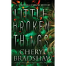 Little Broken Things