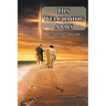 His Welcoming Arms: A Daily Prayer Study Guide