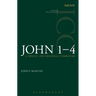 John 1-4 (ICC): A Critical and Exegetical Commentary