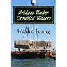 Bridges Under Troubled Waters: Upper Chesapeake and Tidal Potomac Fishing Reefs