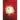 The Memory Book