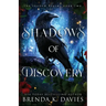Shadows of Discovery