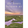 The Hours Between Us
